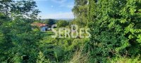 Nekretnina: Plac na Popovici 1087m2 sa pogledom na Dunav ID#1421