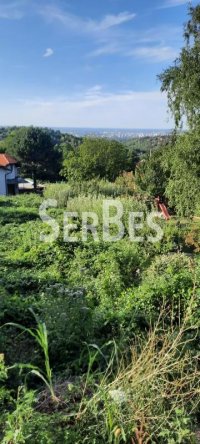 Nekretnina: Plac na Popovici 1087m2 sa pogledom na Dunav ID#1421