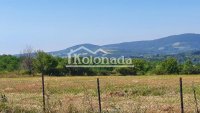 Nekretnina: Građevinsko zemljište u Djurincima, Kosmaj, Sopot ID#8223