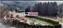 Bor - Borsko jezero – 250kvm + 17a 42kvm ID#22482