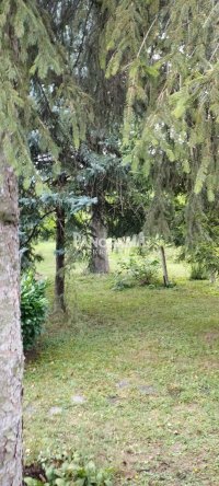 Nekretnina: Miljakovac 3 plac od 14 ari,uknjižen ID#2823