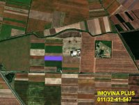 Nekretnina: Stara Pazova - Stari Banovci, 6.5ha