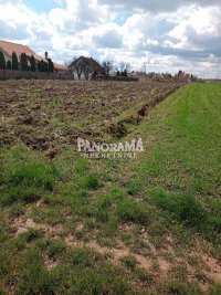 Nekretnina: Stara Lipovica plac od 22ara ID#2913