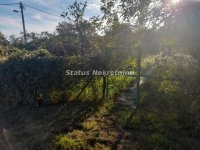 Nekretnina: Petrovaradin-Građevinska Parcela 1700 m2 za Investitore-P+2-065/385 8880