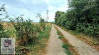 Nekretnina: Građevinsko zemljište 1,30 ha, Obrenovac, Piroman – 28 000 €