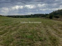 Nekretnina: Krušedol-Plac 3780 m2 u blizini naselja-065/385 8880