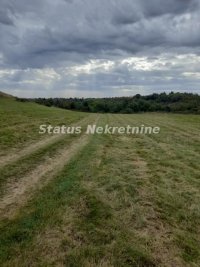 Nekretnina: Krušedol-Plac 3780 m2 u blizini naselja-065/385 8880