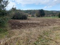 Nekretnina: Krušedol-Plac 3780 m2 u blizini naselja-065/385 8880