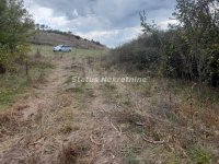 Nekretnina: Krušedol-Plac 3780 m2 u blizini naselja-065/385 8880