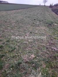 Nekretnina: Futog-Građevinsko zemljište 3300 m2 u Radnoj Zoni za Poslovanje-065/385 8880