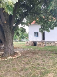 Nekretnina: Barajevo, Beljina, spratna kuća na 161 ari placa ID#8656