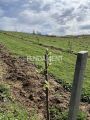 Kuća - imanje 340m2, voćnjak, gradska voda, struja ID#1601