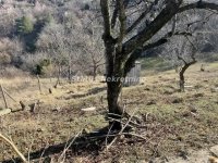 Nekretnina: Popovica-Lep Građevinski plac 826 m2 u Budžaku-065/385 8880