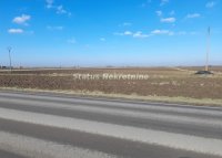 Nekretnina: Futog-Velika Parcela 5900 m2 na izlazu za Bačku Palanku Pogodna za Biznis-065/385 8880