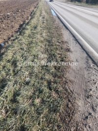 Nekretnina: Futog-Velika Parcela 5900 m2 na izlazu za Bačku Palanku Pogodna za Biznis-065/385 8880