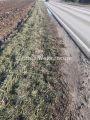 Futog-Velika Parcela 5900 m2 na izlazu za Bačku Palanku Pogodna za Biznis-065/385 8880