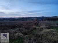 Nekretnina: Građevinski plac 1,5 ha, Obrenovac, Jasenak – 45 000 €