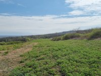 Nekretnina: Plac ZE52