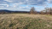 Nekretnina: Rtanj – Bačevica 54kvm + 9ha 27a 24kvm ID#24118