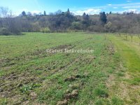 Nekretnina: Banoštor-Veliki Građevinski Plac 1980 m2 za kupce sa Posebnim stilom života-065/385 8880