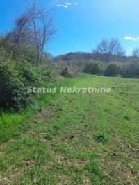 Nekretnina: Banoštor-Veliki Građevinski Plac 1980 m2 za kupce sa Posebnim stilom života-065/385 8880