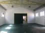ZEMUN NOVOSADSKI AUTOPUT ID: 4597
