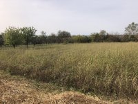 Nekretnina: CUKARICA MIODRAGA POPOVICA ID: 4683