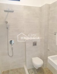 Nekretnina: Botanička bašta, Carigradska, kuća, 3.0, renovirana, dvorište ID#9333
