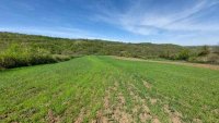 Nekretnina: Zaječar – Lasovo 5ha 46a 76kvm ID#24359