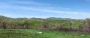 Zaječar – Lasovo 5ha 46a 76kvm ID#24359