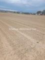 Novi Futog-Lep Građevinski Plac 479 m2 na pogodnoj Lokaciji-065/385 8880