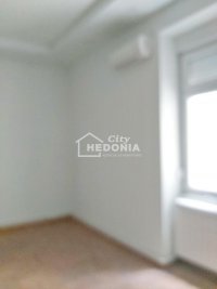 Nekretnina: Vračar, Kneza Miloša, 3.0, renoviran ID#9388