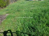 Nekretnina: Sremska Kamenica-Bocke-Najlepši ravan Građevinski Plac 532 m2 u Zelenoj Oazi sa pogledom na grad-065