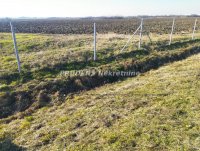 Nekretnina: Građevinsko zemljište 116ari