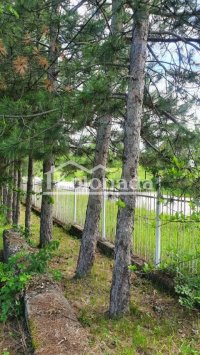 Nekretnina: Kuća u Sibnici, Kosmaj, Sopot ID#3724