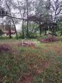 Fruška gora, V.Remeta, 4.0 kuća, plac 16 ari ID#9404