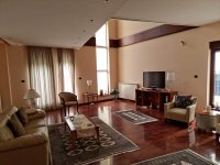 Nekretnina: Vila sa bazenom na 6 ari placa na Dedinju