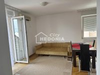 Nekretnina: Novi Sad, 2.5, odlična lokacija, pogled, useljiv ID#9409