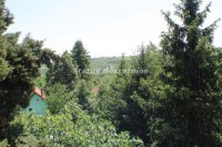 Nekretnina: Velika Remeta- Vikend Kuća  -Povoljno PR+Sp +Pk