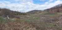 Nekretnina: Boljevac, Rtanj – Dobro polje 5ha 72a 77kvm ID#24710