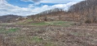Nekretnina: Boljevac, Rtanj – Dobro polje 5ha 72a 77kvm ID#24710