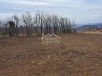 Nekretnina: Grocka - Brestovik - 56ari ID#20575