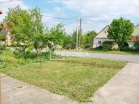 Nekretnina: Dobanovci, kuća, 4.0, 36 ari plac, odmah useljiva ID#9420