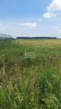 Pećinci - Industrijska zona Šimanovci, Thermo King - 120a ID#20802