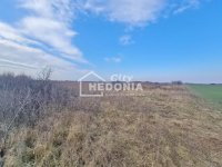 Nekretnina: Šimanovci, plac 115 ari, uknjižen ID#9437