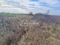 Nekretnina: Šimanovci, plac 115 ari, uknjižen ID#9437