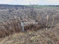 Nekretnina: Šimanovci, plac 115 ari, uknjižen ID#9437