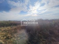 Nekretnina: Šimanovci, plac 115 ari, uknjižen ID#9437