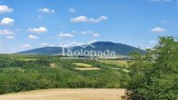 Nekretnina: Kuća u Drlupi, Kosmaj, Sopot ID#4524