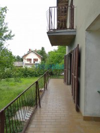 Nekretnina: Avala  Trešnja